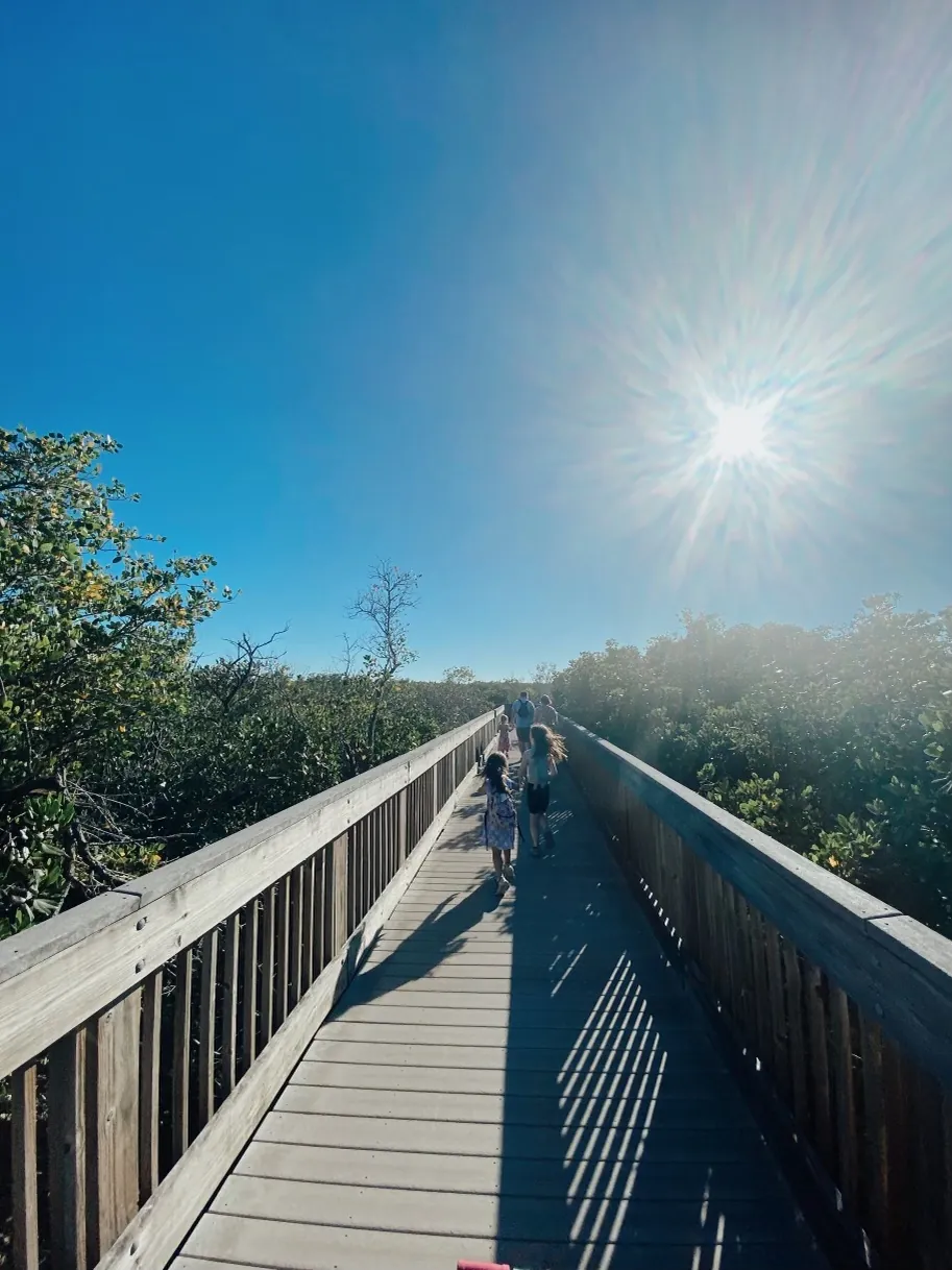 Children walking along a wooden boardwalk in bright sunshine
