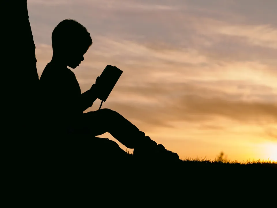 A child sitting beside a tree and reading a book at sunset